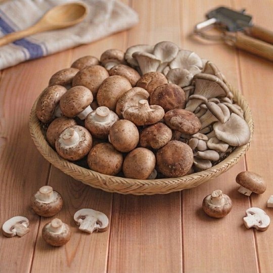 Mushroom (मशरूम)